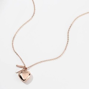 Collar relicario corazón grande y placas personalizables en acero dorado